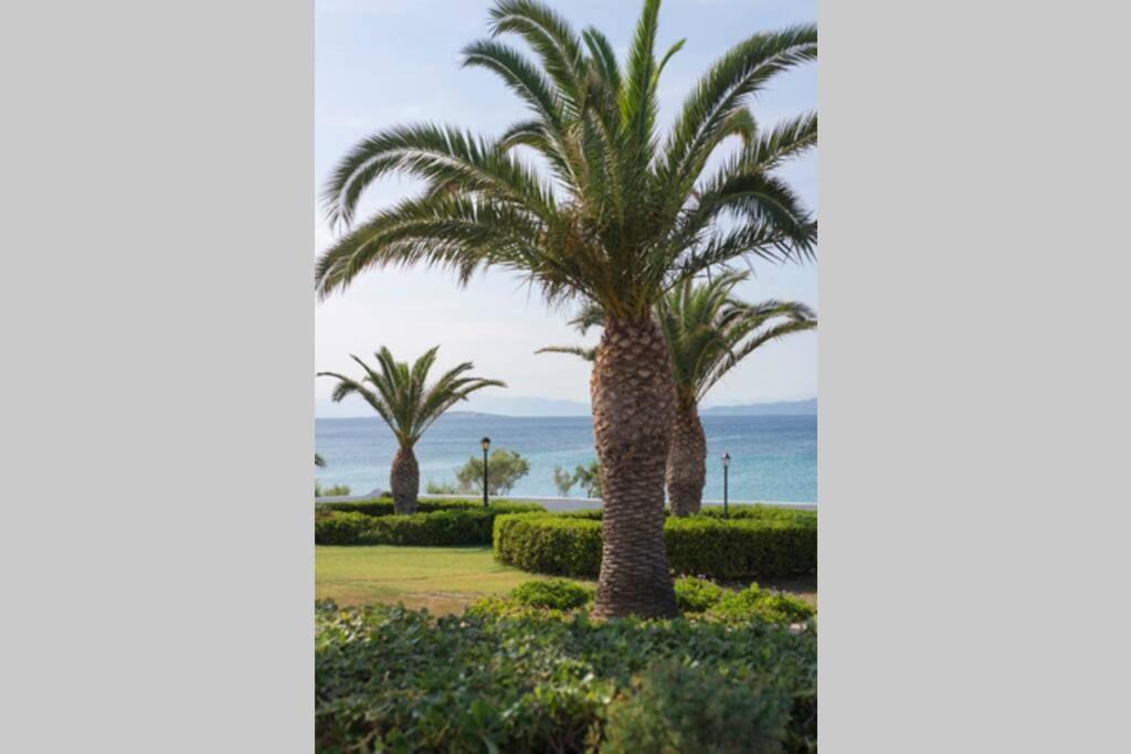 Palmaya Villa, Unique Seafront Experience Vagia  Exterior foto
