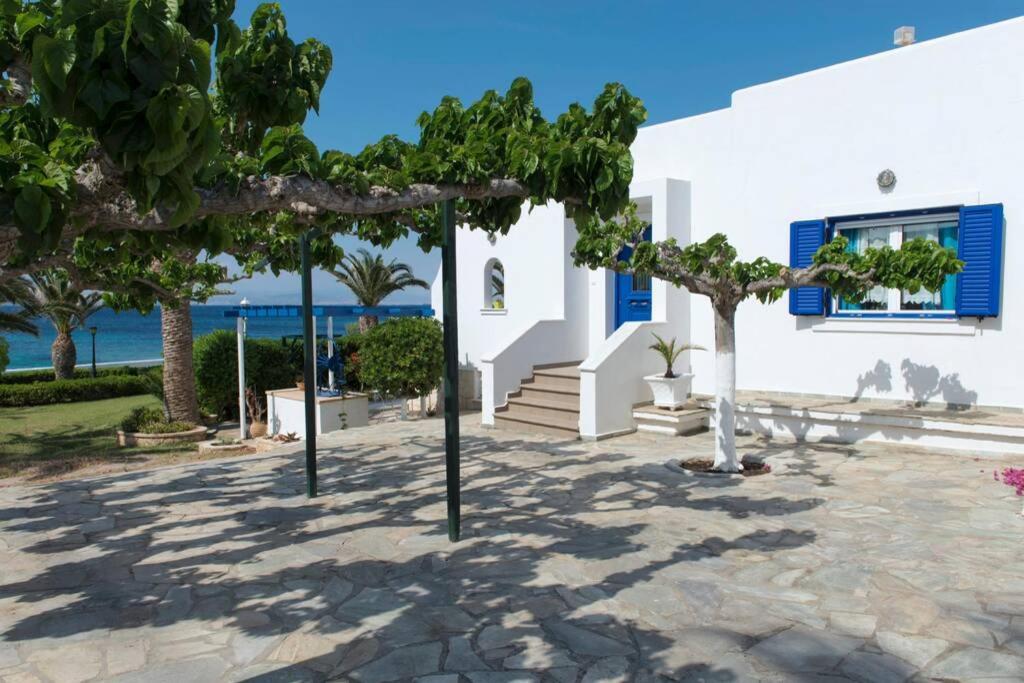 Palmaya Villa, Unique Seafront Experience Vagia  Exterior foto